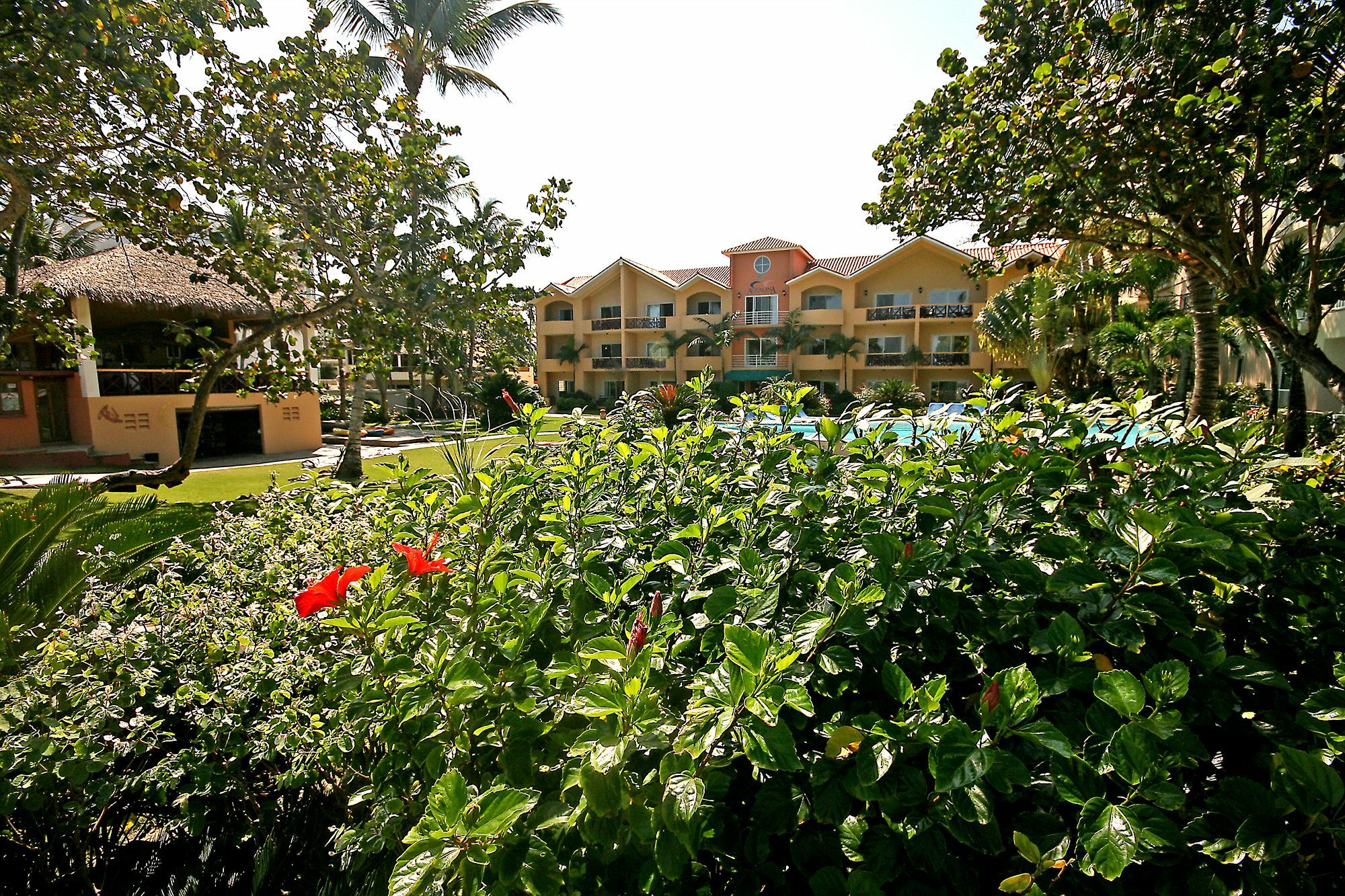 Agualina Kite Resort Cabarete Esterno foto